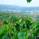 Alloggio per agriturismo Quinta Casa Do Quintal