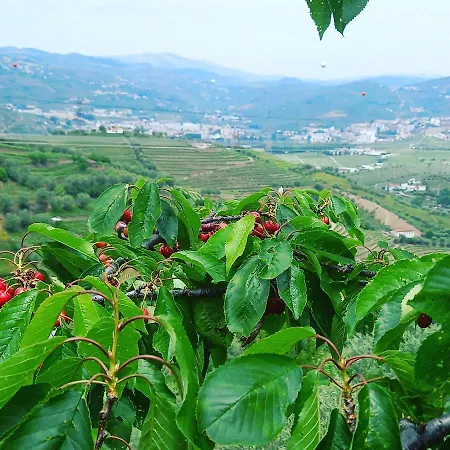Agroturismo Quinta Casa Do Quintal