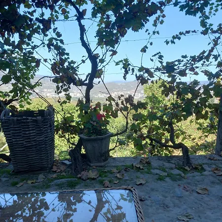 Quinta Casa Do Quintal