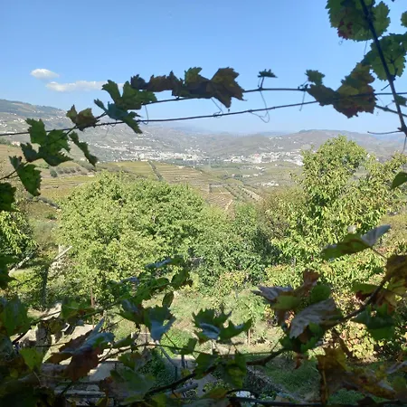Фермерский дом Quinta Casa Do Quintal Ламегу