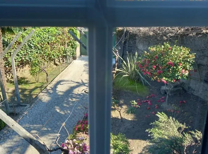 Farm stay Quinta Casa Do Quintal *