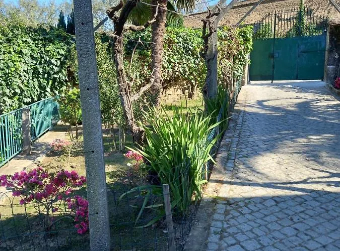 Quinta Casa Do Quintal * Lamego