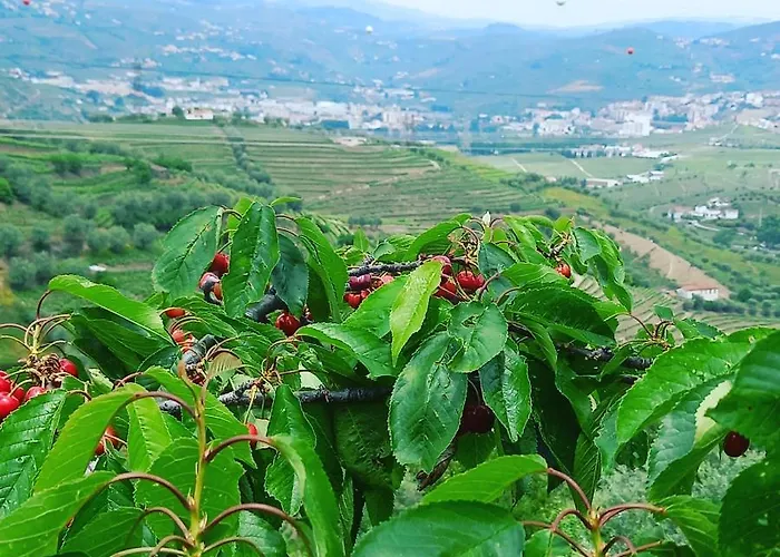 בית חווה Quinta Casa Do Quintal